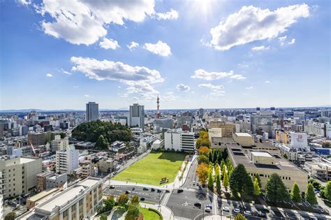 宇都宮ol|栃木県 宇都宮市の一般事務 の求人3,000 件 